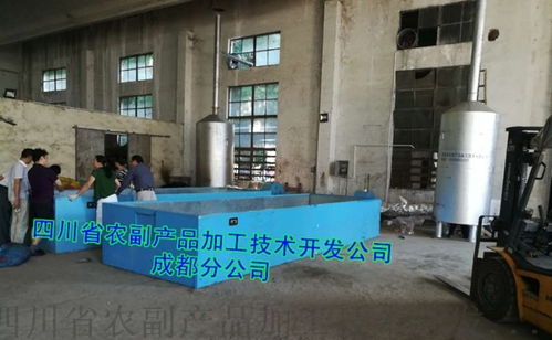 山楂干燥設(shè)備技術(shù)開發(fā) 從傳統(tǒng)晾曬到智能化小型設(shè)備的演進(jìn)